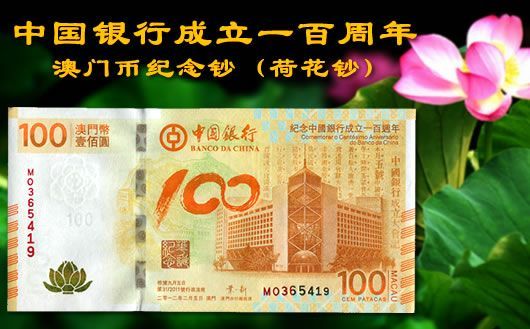 新澳門掛牌正版掛牌完整掛牌，探索與解析，澳門正版掛牌詳解，探索完整流程與解析