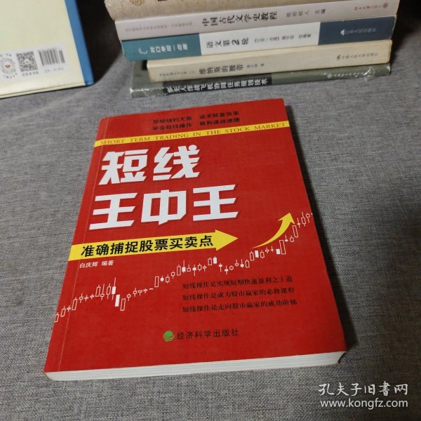 王中王平特一肖中的奧秘與探索，王中王平特一肖的奧秘與探索之旅