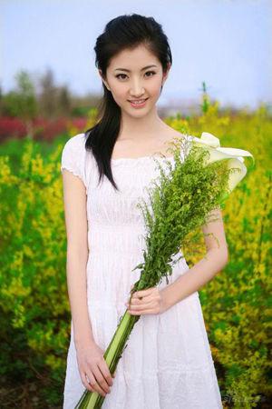 新澳門生肖走勢圖精準(zhǔn)版，解讀與SEO策略，新澳門生肖走勢圖精準(zhǔn)解讀與SEO策略揭秘