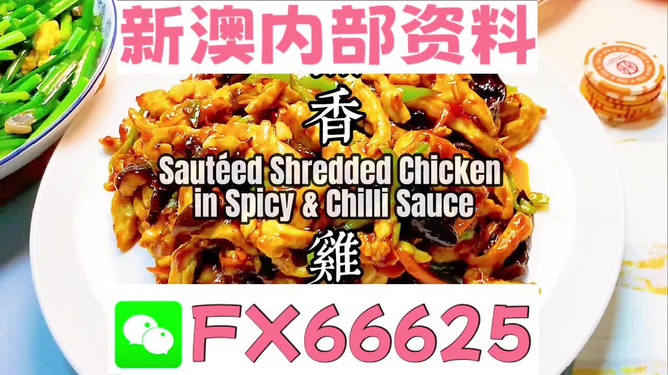 新奧天天精準(zhǔn)資料大全，全方位解讀與應(yīng)用指南，新奧天天精準(zhǔn)資料大全，全方位解讀與應(yīng)用指南手冊