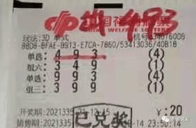 新奧門彩天天開獎資料一網羅萬象，揭秘彩票奧秘，揭秘彩票奧秘，新奧門彩天天開獎資料一網羅萬象