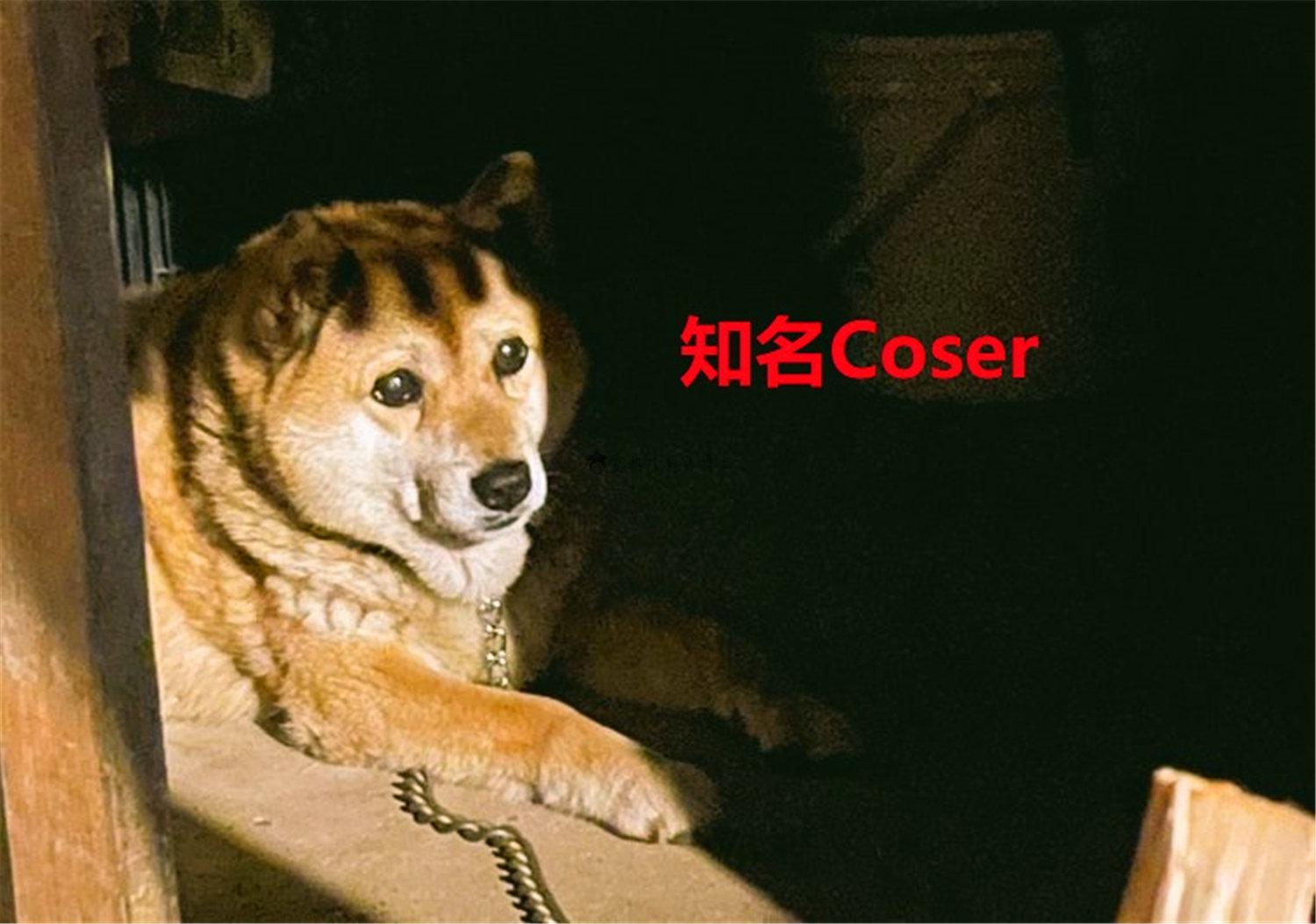 豬狗同行王中王，猜一肖，深度解析與SEO優(yōu)化，豬狗同行王中王猜謎解析與SEO優(yōu)化技巧，深度解析揭秘生肖之謎