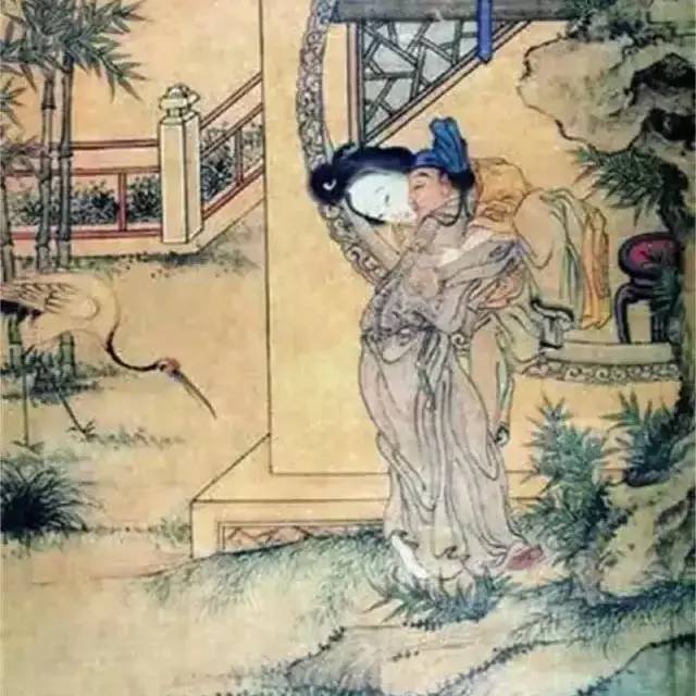 劉伯溫臼小女旦一肖中——探尋神秘預(yù)言背后的故事，劉伯溫預(yù)言之謎，臼小女旦一肖中的神秘故事