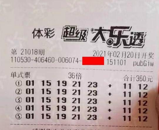 王中王018期指一生肖，揭秘背后的奧秘與意義，揭秘生肖奧秘，王中王生肖背后的意義與秘密