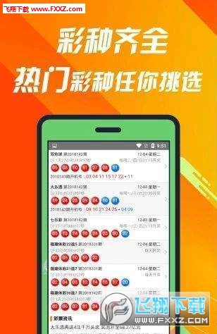 揭秘660678C0m王中王三肖一碼，真相與奧秘，揭秘，王中王三肖一碼真相與奧秘探索