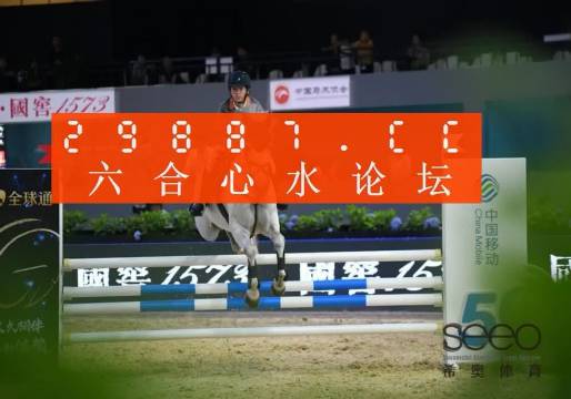 王中王三肖選一碼488，揭秘背后的秘密與探索SEO優(yōu)化之道，揭秘王中王三肖選一碼488背后的秘密與SEO優(yōu)化策略探索