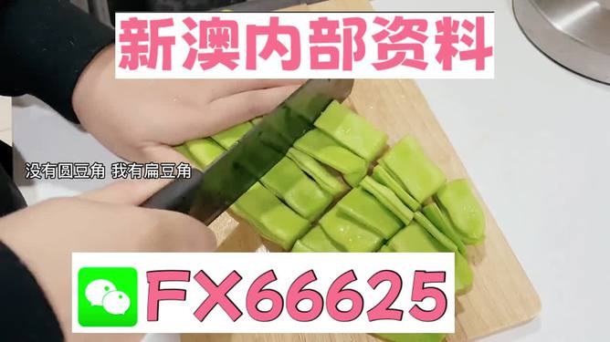 新澳精選資料免費提供，探索優(yōu)質(zhì)資源的海洋，新澳精選資料免費探索，優(yōu)質(zhì)資源海洋的開啟