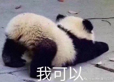 澳門四不像正版四不像網(wǎng)，探索真實與虛幻的交融之地，澳門四不像正版探索，真實與虛幻的交融世界