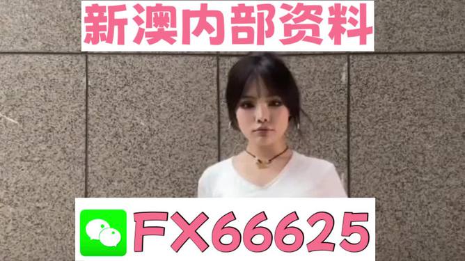 澳門正版資料大全完整版，探索與揭秘2025年澳門正版資料的世界，澳門正版資料大全揭秘，探索未來至2025年的奧秘世界