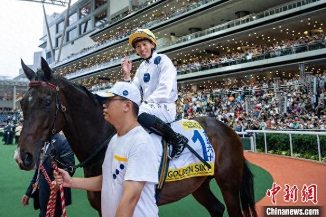 香港特馬王資料免費(fèi)公開(kāi)，揭秘背后的秘密，香港特馬王資料揭秘，免費(fèi)公開(kāi)背后的秘密