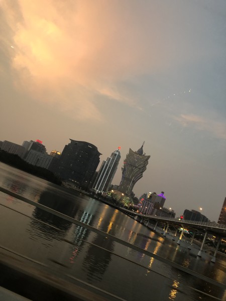 澳門今晚必開一肖一特，深度解析與預(yù)測(cè)，澳門今晚生肖特碼深度解析與預(yù)測(cè)，一肖一特必開趨勢(shì)探討