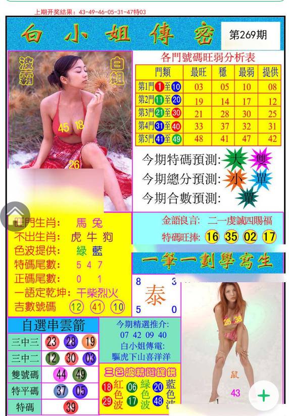 揭秘白小姐與王中王平持一肖的神秘面紗，白小姐與王中王，揭秘神秘生肖預(yù)測面紗