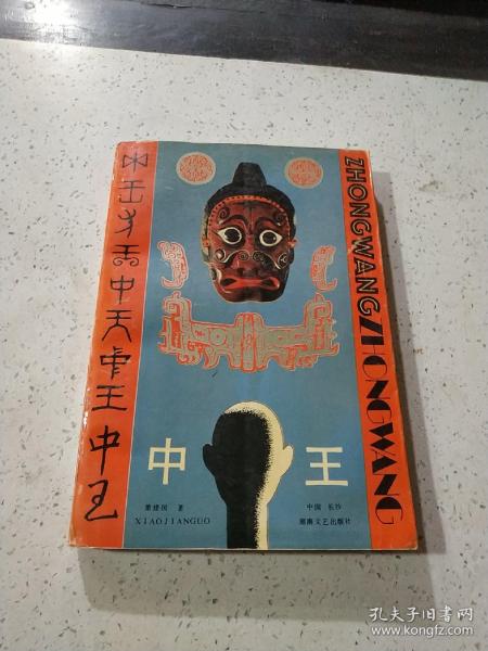 王中王資料與肖中特，深度解析，王中王資料與肖中特深度剖析