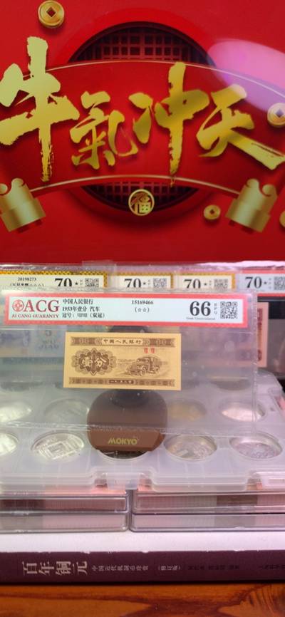 王中王廣東一肖，探尋背后的故事與奧秘，王中王廣東一肖，背后的故事與奧秘探尋