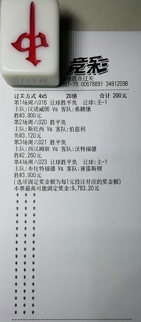揭秘買(mǎi)一肖中獎(jiǎng)的賠率與風(fēng)險(xiǎn)，你真的準(zhǔn)備好了嗎？，揭秘買(mǎi)一肖中獎(jiǎng)背后的賠率與風(fēng)險(xiǎn)，你真的做好準(zhǔn)備了嗎？