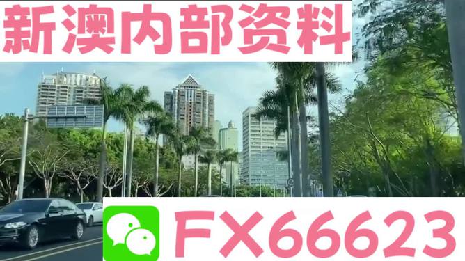 新澳精準(zhǔn)資料免費(fèi)提供，探索第221期的奧秘與價(jià)值，新澳精準(zhǔn)資料揭秘第221期奧秘與價(jià)值