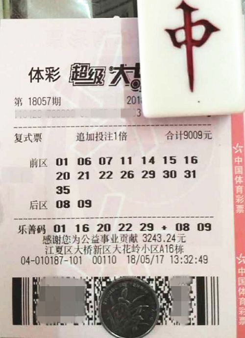 澳門六開彩天天開獎結(jié)果查詢，輕松掌握最新動態(tài)，澳門六開彩最新開獎結(jié)果查詢，輕松掌握每日動態(tài)