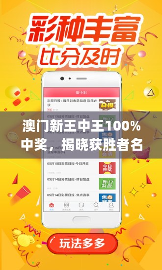 王中王藏寶閣猜一肖，揭秘背后的秘密與SEO策略，王中王藏寶閣猜一肖背后的秘密與SEO策略揭秘