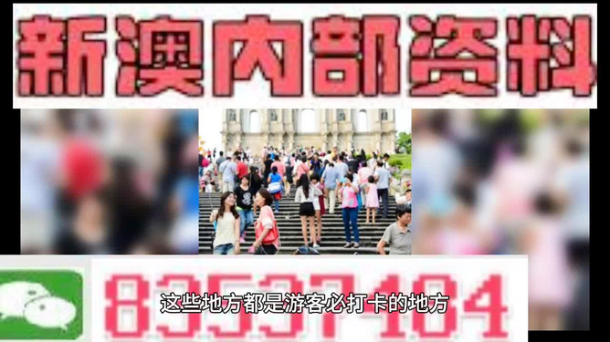 新澳精準資料免費提供，深度解析與實用指南，新澳精準資料解析與實用指南，免費資料分享