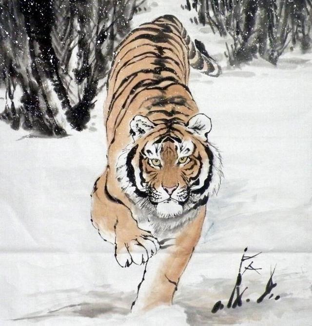 猛虎下山王中王，揭秘一生肖的神秘魅力，揭秘生肖之王——猛虎下山之神秘魅力