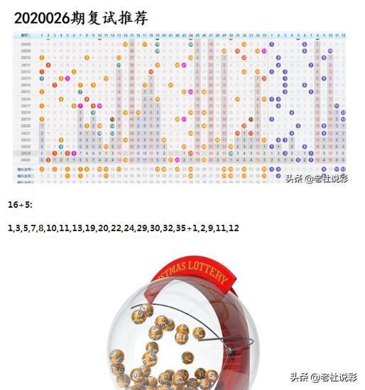 王中王026期指一生肖，深度解讀與SEO優(yōu)化策略，王中王026期生肖深度解讀與SEO優(yōu)化策略全解析