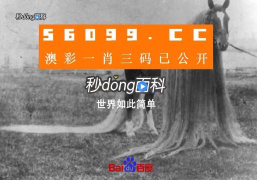 澳門一肖一碼一必中一肖舟山，揭秘彩票秘密，掌握幸運(yùn)之鑰，揭秘彩票秘密，澳門一肖一碼必中秘籍與幸運(yùn)之鑰在舟山開啟