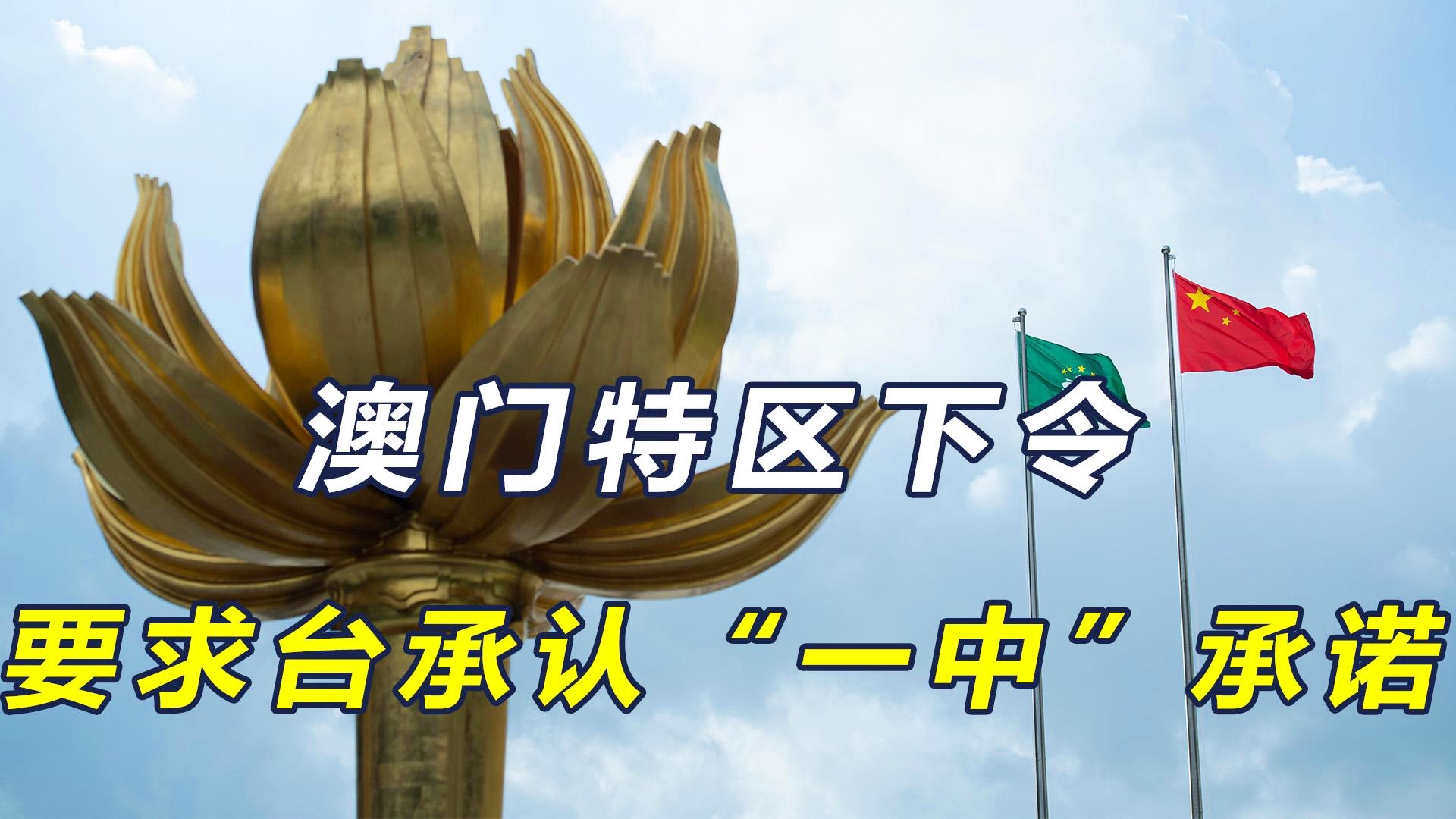 澳門一碼一肖一特一中今晚預(yù)測與探索，澳門今晚一碼一肖一特一中預(yù)測與揭秘