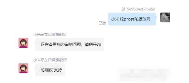 王中王一肖碼，探索關(guān)鍵詞背后的奧秘，王中王一肖碼，揭秘關(guān)鍵詞背后的奧秘