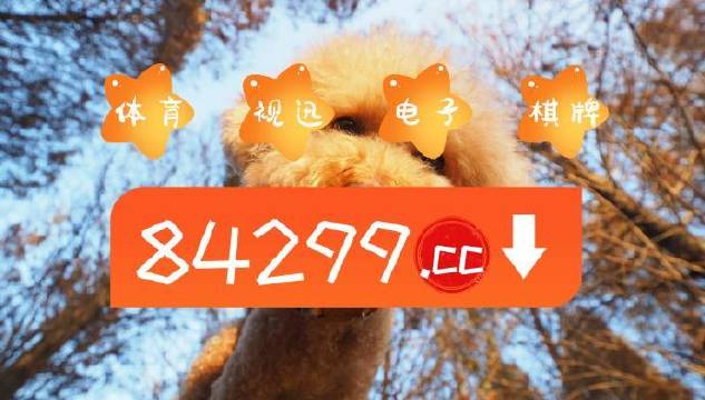 今期必中一肖一碼白小姐，揭秘彩票背后的秘密與策略，揭秘彩票背后的秘密與策略，白小姐今期必中一肖一碼解析