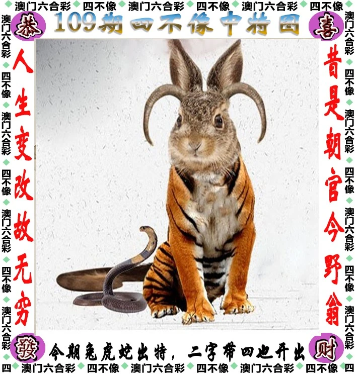 四不像王中王資料一肖，深度解析與探索，四不像王中王資料一肖，深度解析與探索揭秘