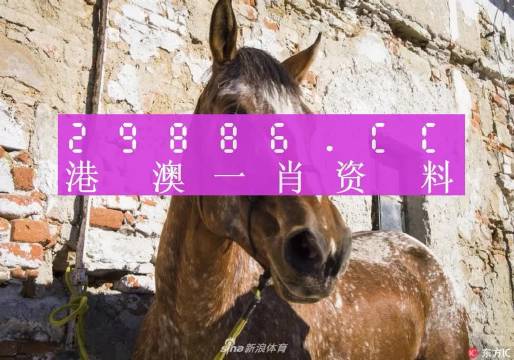 王中王資料一門肖中，深度解析與探索，王中王資料一門肖詳解，深度解析與探索