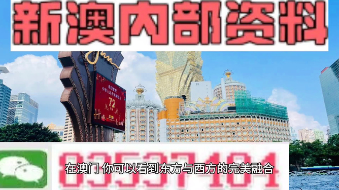 新澳新澳門正版資料，探索與解析，新澳新澳門正版資料深度解析與探索