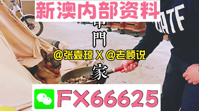 新澳門精準資料大全，管家婆料解析與探索，澳門精準資料大全，管家婆料解析與深度探索