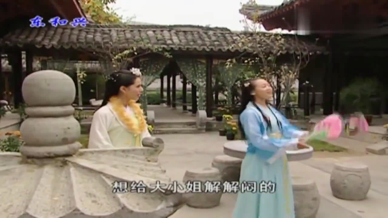 劉伯溫白小姐一肖期期準，神秘預測背后的真相，劉伯溫白小姐生肖預測揭秘，神秘預測背后的真相
