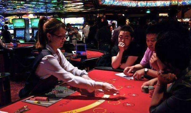 澳門金牛王中王一肖，探索背后的神秘與魅力，澳門金牛王中王一肖，神秘魅力背后的探索