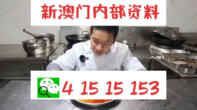 管家婆一肖資料大全，深度解析與探索，管家婆一肖資料深度解析與探索大全