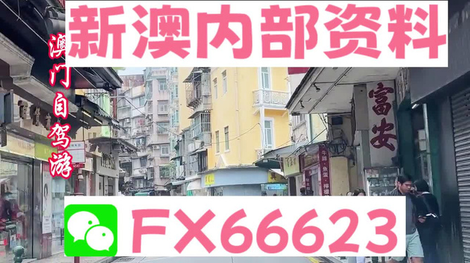 新澳精準資料免費提供，探索與實踐的指南，新澳精準資料免費分享，探索與實踐的導(dǎo)航指南