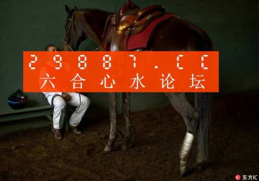 一肖一馬王中王一馬中特，深度解析與SEO優(yōu)化策略，一肖一馬王中王深度解析與SEO優(yōu)化策略探討