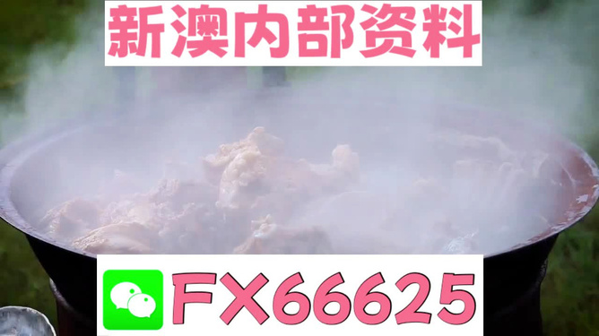 新澳全年免費(fèi)資料大全，一站式獲取優(yōu)質(zhì)資源指南，新澳全年優(yōu)質(zhì)資源免費(fèi)獲取指南