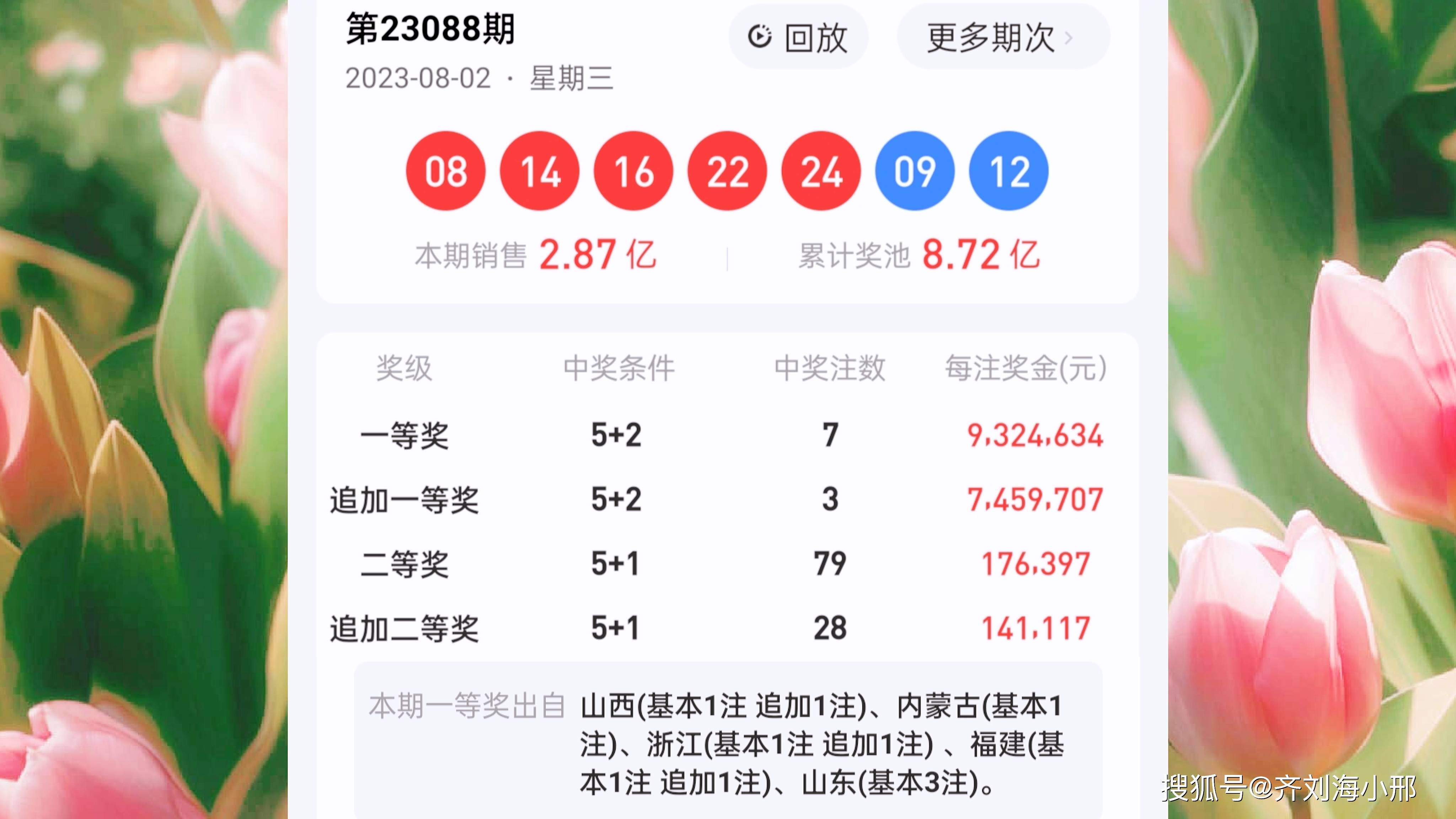 最新開獎結(jié)果揭曉，王中王與一肖中的幸運(yùn)時(shí)刻，王中王與一肖中幸運(yùn)時(shí)刻揭曉，最新開獎結(jié)果出爐