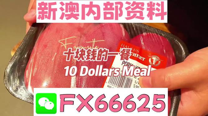 揭秘2025新奧精準(zhǔn)正版資料，全方位解讀與SEO優(yōu)化策略，揭秘2025新奧精準(zhǔn)正版資料，全方位解讀與SEO策略優(yōu)化指南