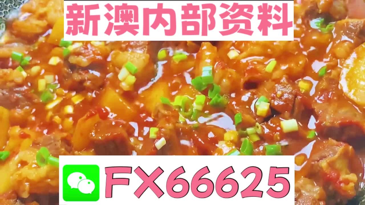 新奧天天免費資料大全——探索與優(yōu)化的SEO之旅，新奧天天免費資料大全，SEO探索與優(yōu)化之旅
