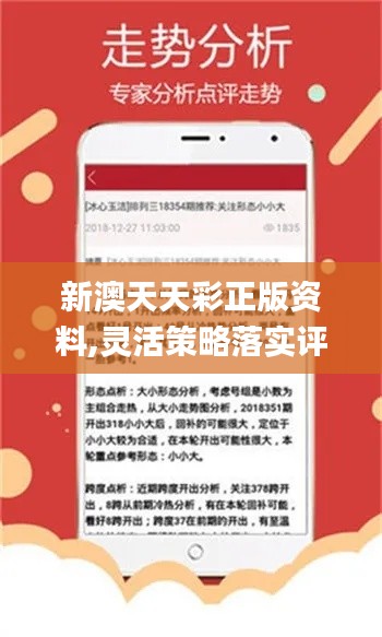 新澳天天開彩期期精準(zhǔn)，揭秘彩票預(yù)測背后的秘密，揭秘彩票預(yù)測真相，新澳天天開彩期期精準(zhǔn)之奧秘
