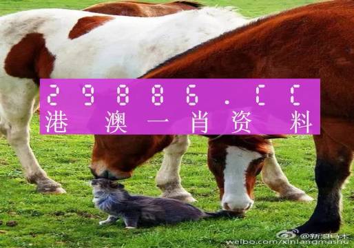 新奧門一肖一碼，揭秘精準(zhǔn)預(yù)測(cè)的秘密，揭秘新澳門一肖一碼精準(zhǔn)預(yù)測(cè)的秘密