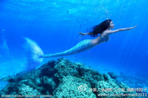 澳門美人魚最快開獎結(jié)果圖——揭秘?zé)衢T彩票游戲背后的秘密，澳門美人魚彩票開獎揭秘，最新結(jié)果圖與游戲背后秘密探索