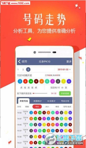 王中王四肖選一，揭秘選擇與優(yōu)化策略，王中王四肖選一，選擇與優(yōu)化策略的揭秘