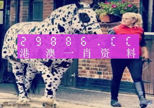 澳彩平肖王中王，一笑一碼的秘密與SEO優(yōu)化策略，澳彩平肖王中王，揭秘一笑一碼背后的SEO優(yōu)化策略