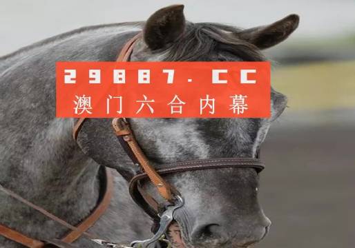 澳門一一碼一特一中準(zhǔn)選今晚，探索真實(shí)有效的選擇與策略，澳門今晚一特一中準(zhǔn)選碼，真實(shí)有效的選擇與策略探索
