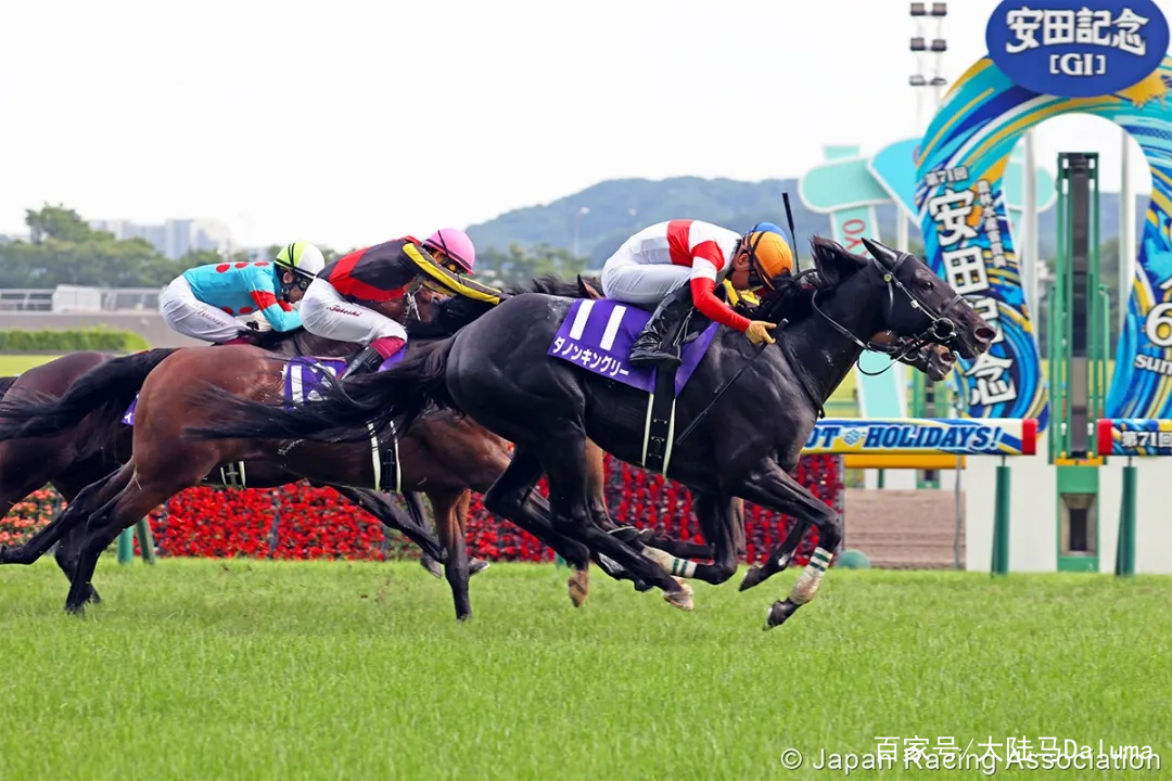 香港王中王與一馬中特肖的獨(dú)特魅力，深度解析與探索，香港王中王與一馬中特肖的獨(dú)特魅力，深度探索與解析