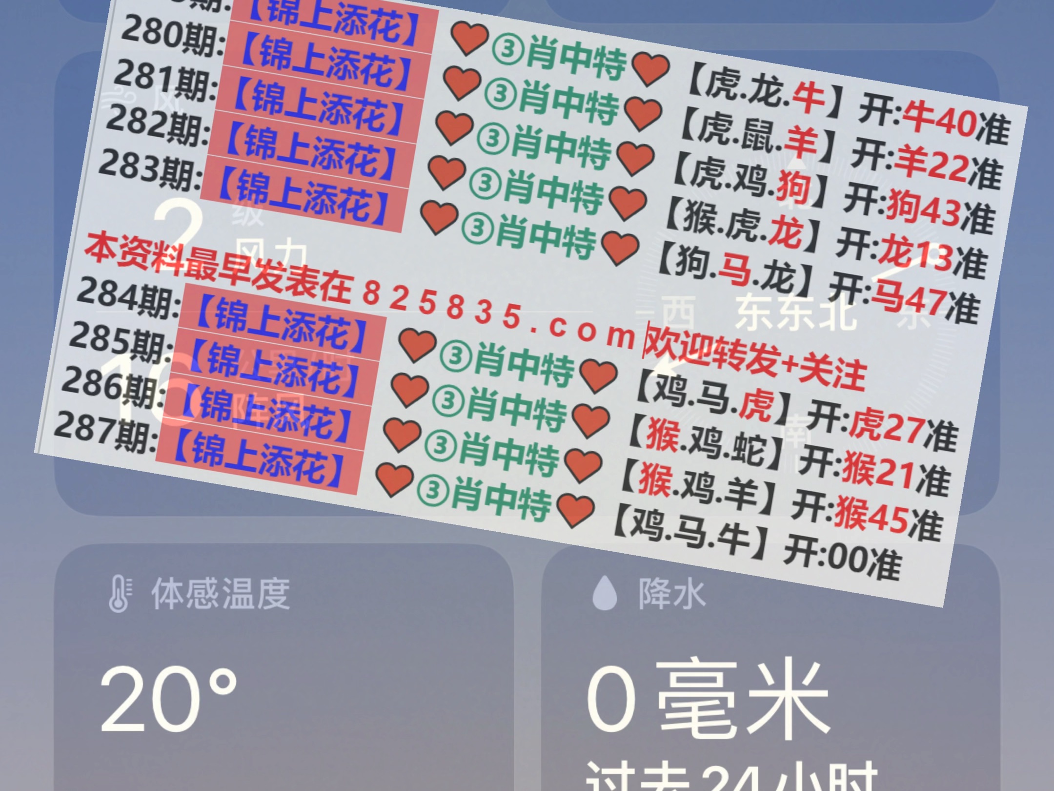 新澳2025年精準(zhǔn)一肖一碼，揭秘預(yù)測背后的秘密，揭秘新澳2025年精準(zhǔn)一肖一碼預(yù)測背后的秘密
